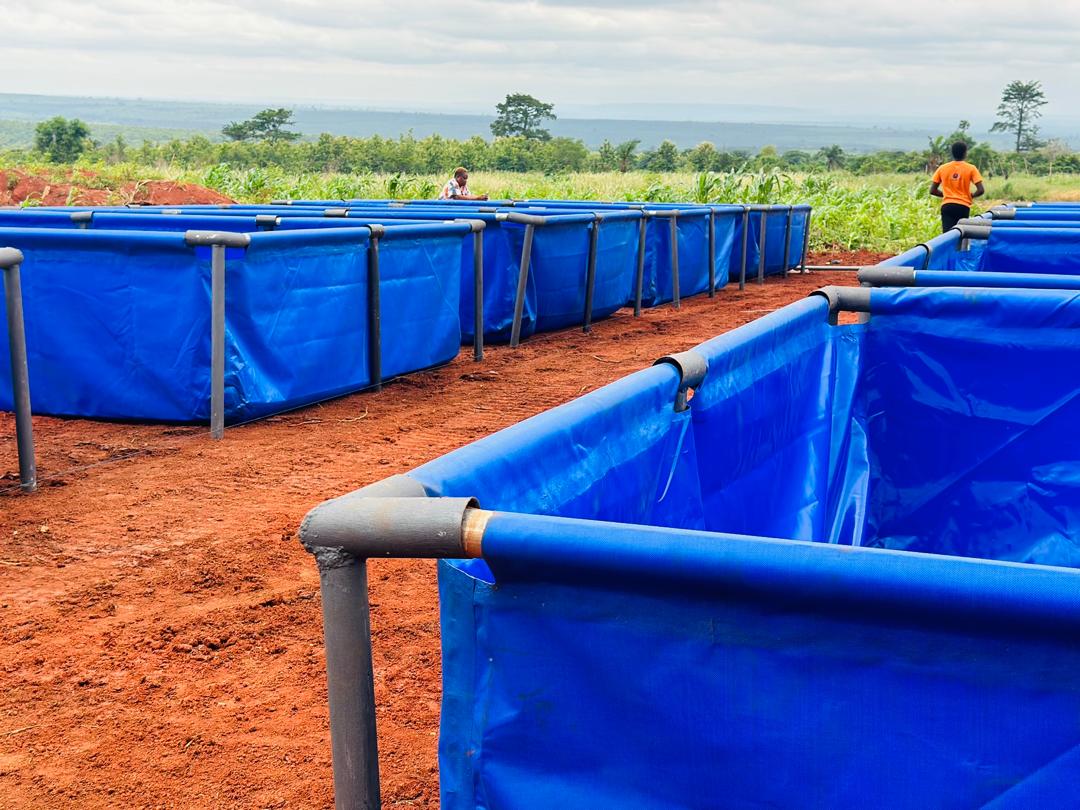 Sunrise over aquaculture farm in Ghana